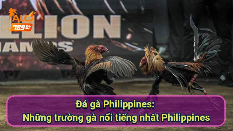 da-ga-philippines:-nhung-truong-ga-noi-tieng-nhat-philippines