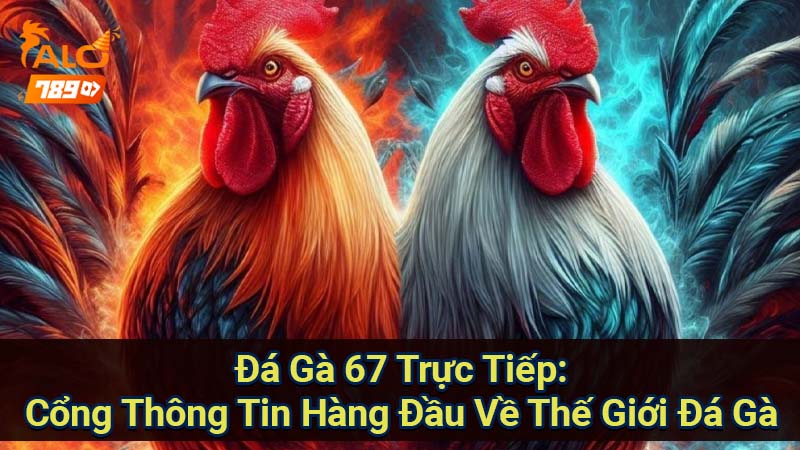 da-ga-67-truc-tiep:-cong-thong-tin-hang-dau-ve-the-gioi-da-ga