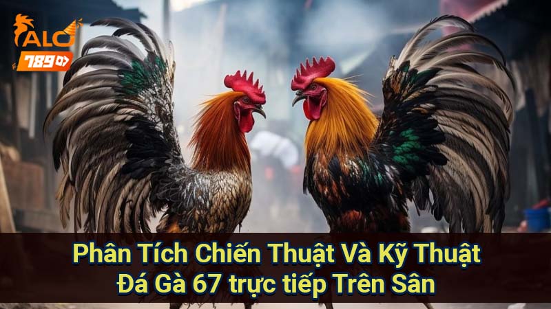 phan-tich-chien-thuat-va-ky-thuat-da-ga-67-truc-tiep-tren-san