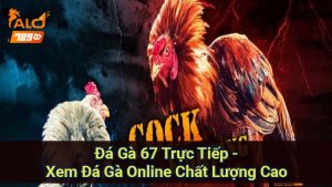 da-ga-67-truc-tiep