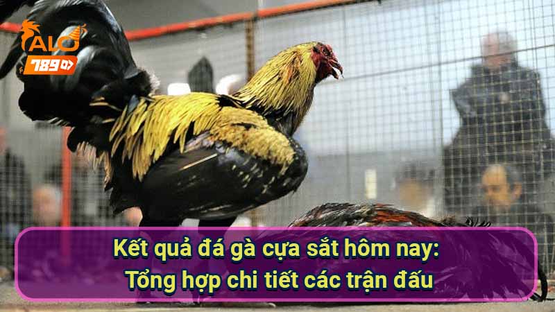 ket-qua-da-ga-cua-sat-hom-nay:-tong-hop-chi-tiet-cac-tran-dau