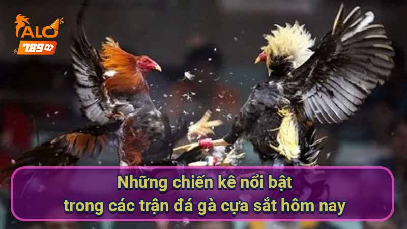 nhung-chien-ke-noi-bat-trong-cac-tran-da-ga-cua-sat-hom-nay