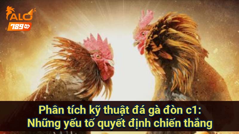 phan-tich-ky-thuat-da-ga-don-c1:-nhung-yeu-to-quyet-dinh-chien-thang