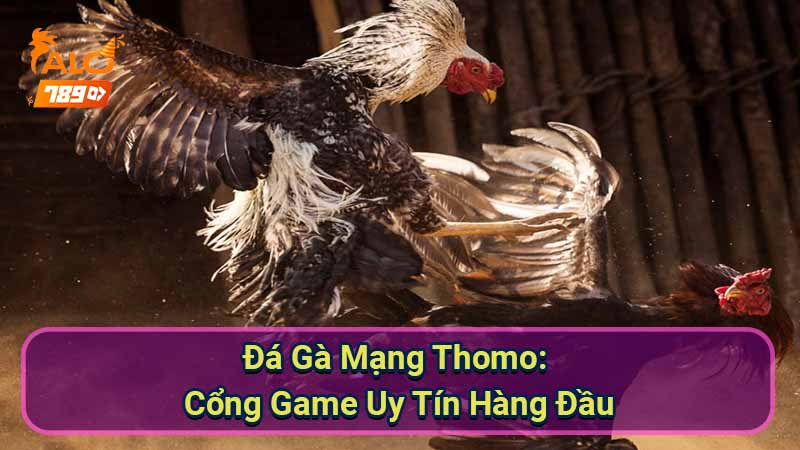 da-ga-mang-thomo:-cong-game-uy-tin-hang-dau