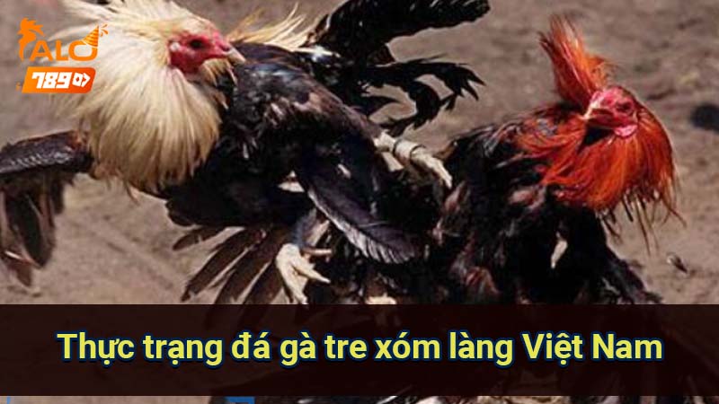 thuc-trang-da-ga-tre-xom-lang-viet-nam