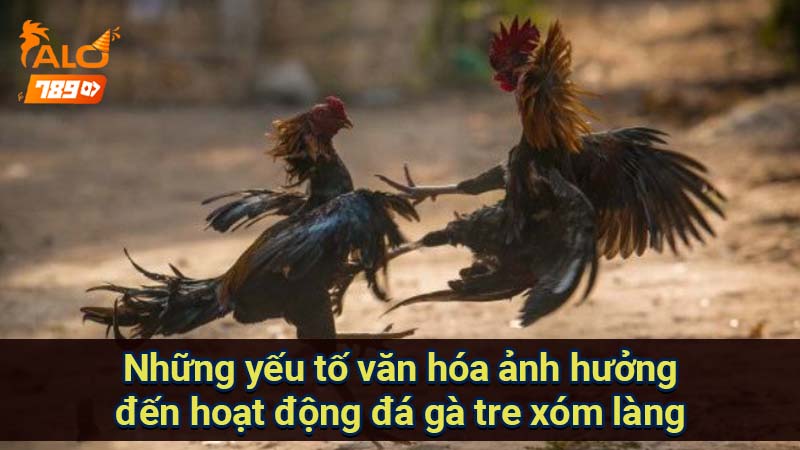 nhung-yeu-to-van-hoa-anh-huong-den-hoat-dong-da-ga-tre-xom-lang