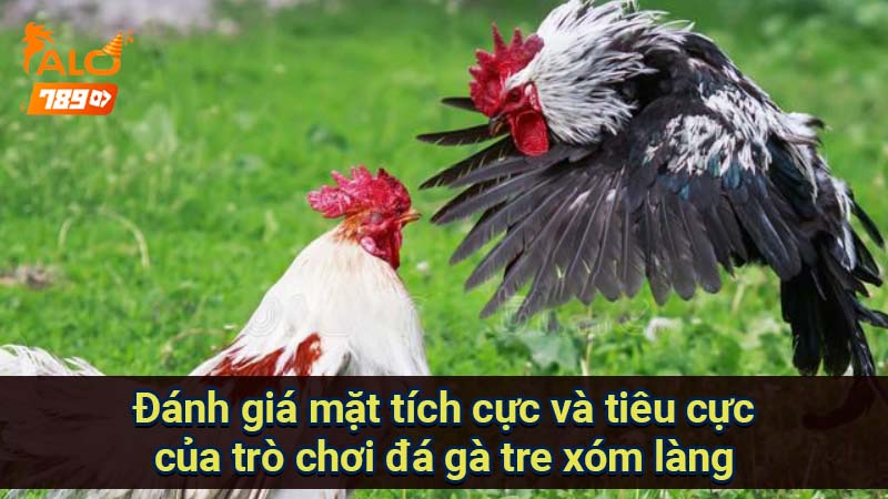 danh-gia-mat-tich-cuc-va-tieu-cuc-cua-tro-choi-da-ga-tre-xom-lang