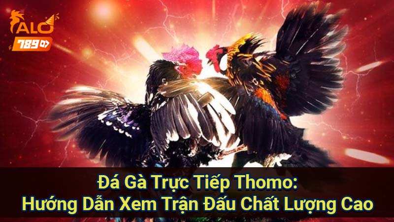 da-ga-truc-tiep-thomo:-huong-dan-xem-tran-dau-chat-luong-cao