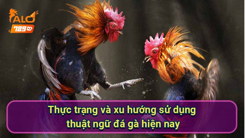 thuc-trang-va-xu-huong-su-dung-thuat-ngu-da-ga-hien-nay