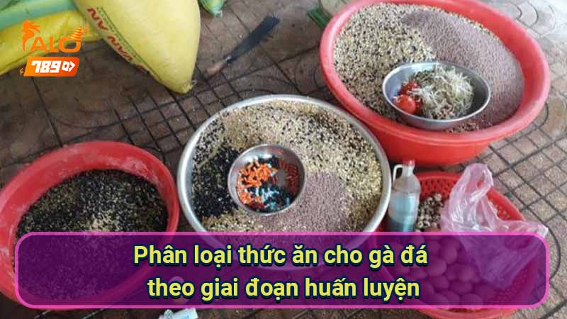 phan-loai-thuc-an-cho-ga-da-theo-giai-doan-huan-luyen